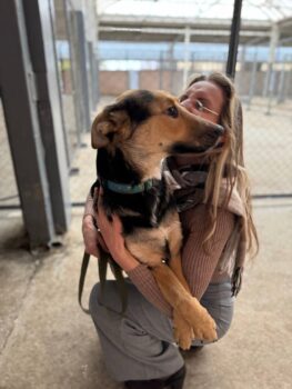 BUSJA - ca. 11 Monate, ca. 55 cm