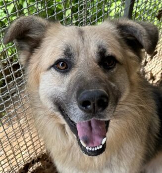 PITI - I am Piti and so pretty