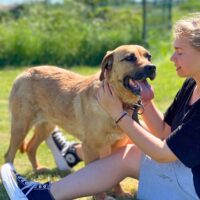 Ramune: Weibchen • geb.ca. 2015-2017 • 55cm • Handicap