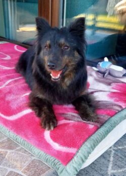 Miniaturansicht für das Anzeigenbild