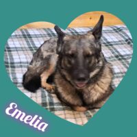 Emelia lebt bei einer Pflegefamilie in Rumänien