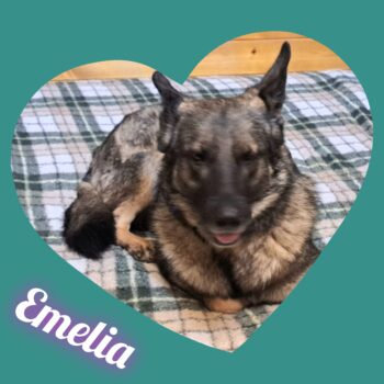 Emelia lebt bei einer Pflegefamilie in Rumänien