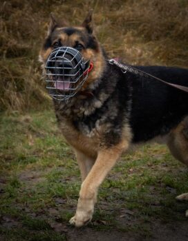 Miniaturansicht für das Anzeigenbild