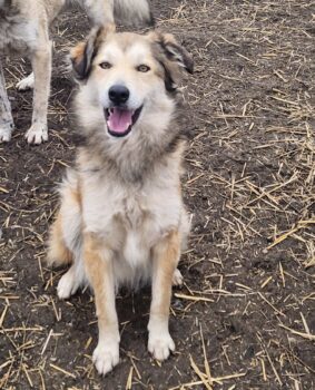 Miniaturansicht für das Anzeigenbild