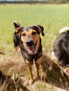 Miniaturansicht für das Anzeigenbild