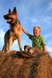Boy with big dog on meadow