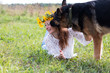Pretty girl and dog German shepherd outdoor