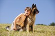 glücklicher Junge mit belgischem Schäferhund